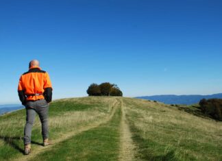 Pratomagno tesoro di biodiversità e natura