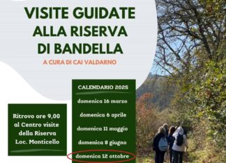 Tornano le passeggiate guidate gratuite con la Riserva di Bandella