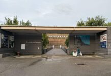 Il Partito Democratico difende il punto nascite di Montevarchi