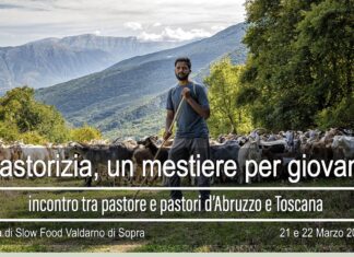 Mostra fotografica “Intrecci” di Mario Lanini a San Giovanni Valdarno