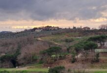 Miravalle, una collina devastata: i residenti ricorrono al TAR.