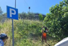 Laterina Pergine, addio emergenza verde