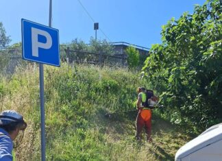 Laterina Pergine, addio emergenza verde