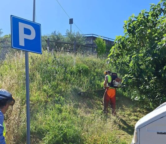 Laterina Pergine, addio emergenza verde