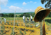 Laterina: fattoria eco solidale senza barriere