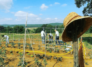 Laterina: fattoria eco solidale senza barriere