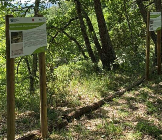 Riqualificati i sentieri nelle Riserve di Bandella e di Ponte Buriano e Penna