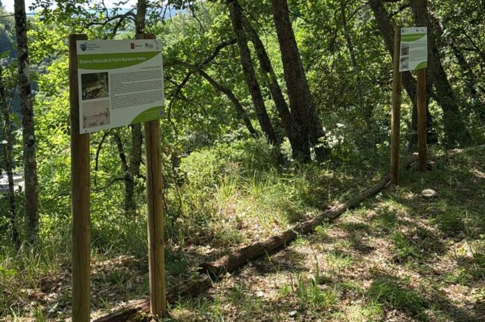 sentieri-Riserve-di-Bandella-e-di-Ponte-Buriano-e-Penna.jpg